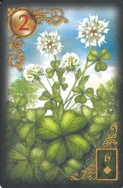 Ciro Marchetti's Gilded Reverie Lenormand