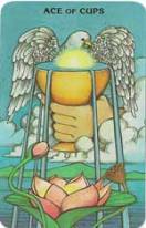 MorganGreerAceOfCups