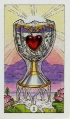 Robin Wood Ace of Cups