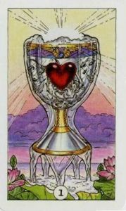 Robin Wood Ace of Cups